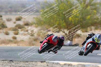 media/Apr-10-2022-SoCal Trackdays (Sun) [[f104b12566]]/Turn 5 Tree of Life (1040am)/